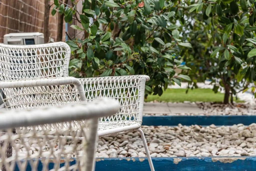 Inlapa Studio VI Porto Garden Exterior foto